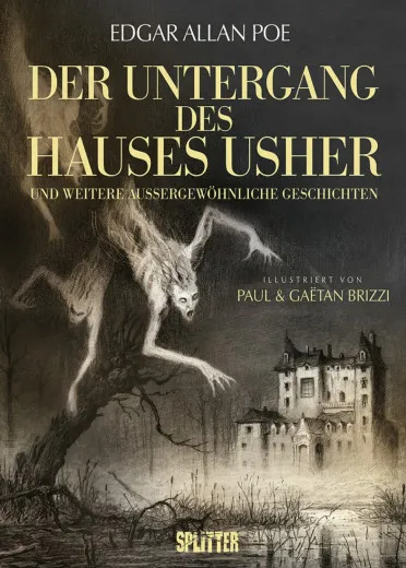 Untergang Des Hauses Usher (illustrierter Roman)