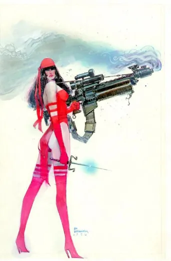 Elektra Collection Von Frank Miller