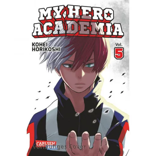 My Hero Academia 005