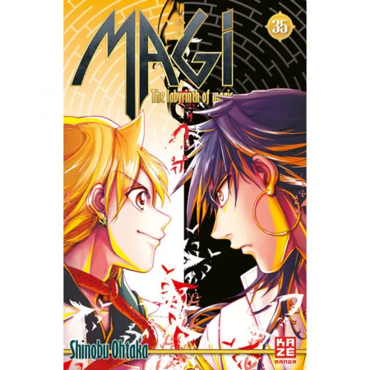 Magi - The Labyrinth Of Magic 035