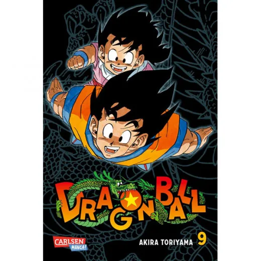 Dragon Ball Massiv 009