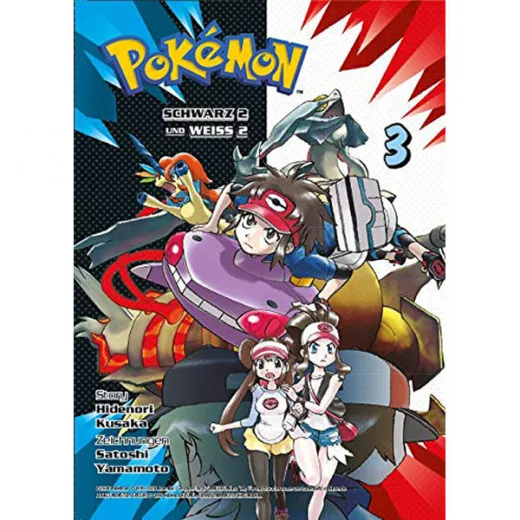 Pokemon Schwarz 2 Und Weiss 2 003