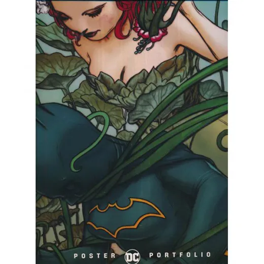 Dc Poster Portfolio James Jean Tpb