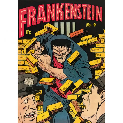 Frankenstein 004