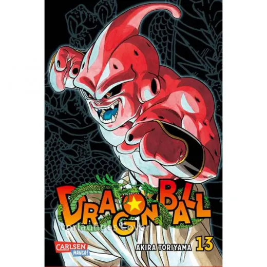 Dragon Ball Massiv 013