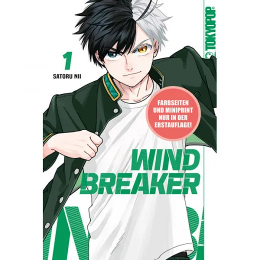 Wind Breaker 001