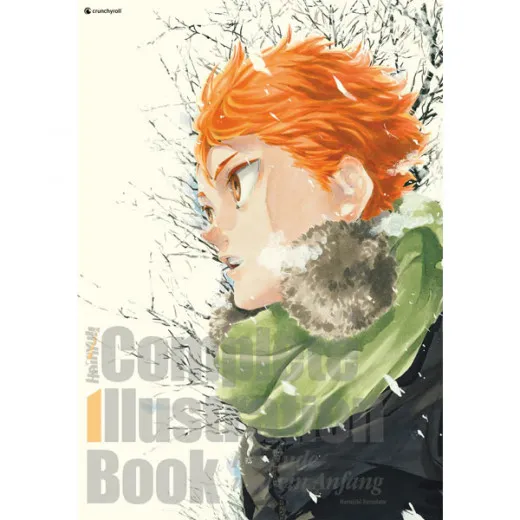 Haikyu!! Complete Illustration Book - Ein Ende Und Ein Anfang