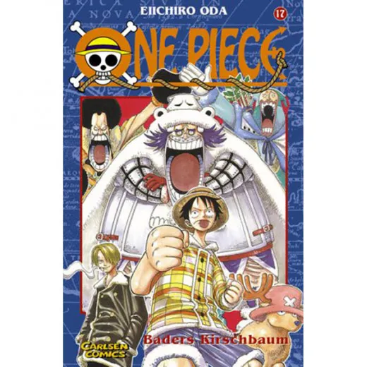 One Piece 017